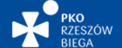 17. PKO Półmaraton Rzeszowski Icon